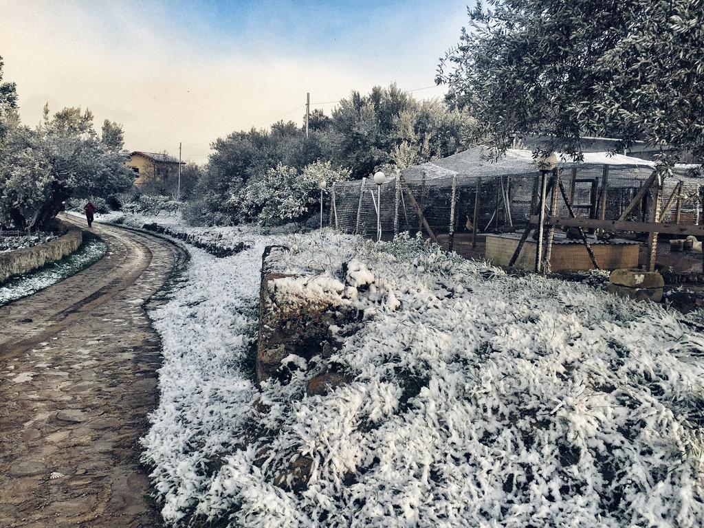 Coscio Di Badia Villa Naro Екстериор снимка