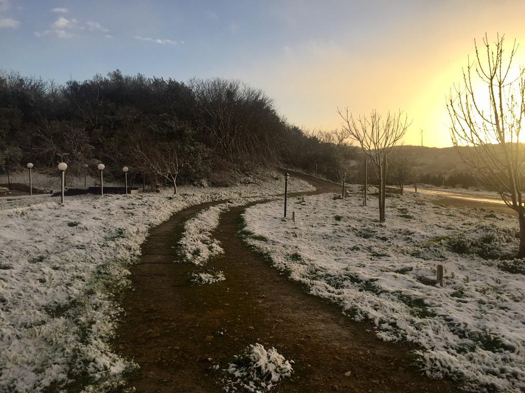 Coscio Di Badia Villa Naro Екстериор снимка